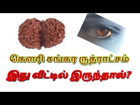 கெளரி சங்கர ருத்ராட்சம் முக்கியதுவம் ஏன் || ஆன்மீக களஞ்சியம்