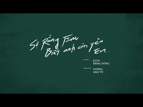 JUUN D - SỢ RẰNG EM BIẾT ANH CÒN YÊU EM (Lofi Version by Freak D) | Lyric video