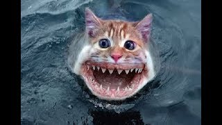 Faydee - Love You  Better