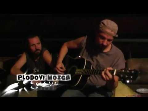 PLODOVI MOZGA baloni