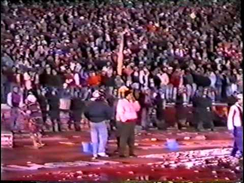 Делије Север 1989 - Јој, јој, јој, ова Звезда живот је мој