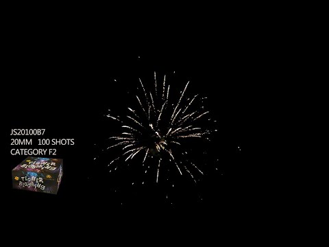 JS20100B7: 20mm, 100 shots, I shape