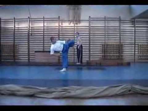 remtile - sampler 2003