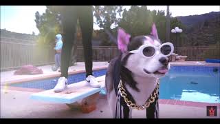 Woah Vicky "Action" Instrumental (Bhad Bhabie DIss) WSHH *Remake* (Prod.Smooth1e)