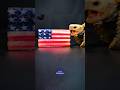 United States ASMR Mukbang Eating July 4th Turtle Tortoise
