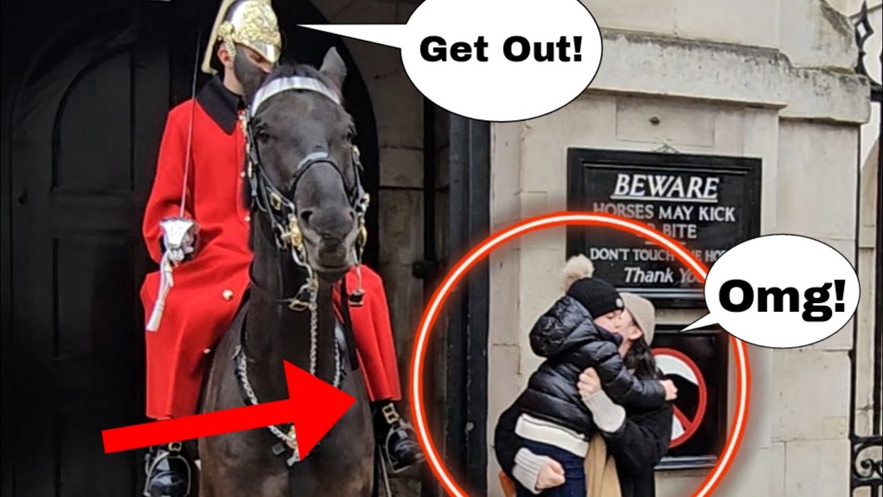 A mother got told off by the King's Guard and moved his horse to get rid her out of the box!