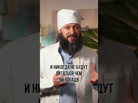 Самое полезное мясо для здоровья! #shorts #мясо #питание #здоровье