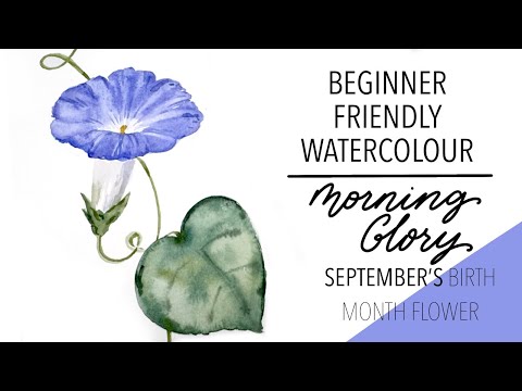 Painting September's Birth Month Flower - Morning Glory!
