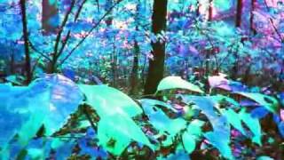 Autumn Music: Nancy Stagnitta (flute) Rob Levit (video and guitar)