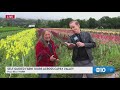 Inside Rustic Ramble: Full Belly Farms