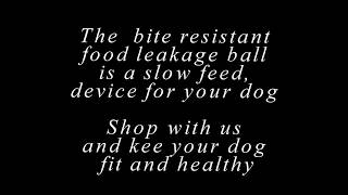 Fight Dog Obesity | Best Slow Dog Feeder Bowl Anti Choke |Free Shipping Worldwide |HeyGoodDog.com