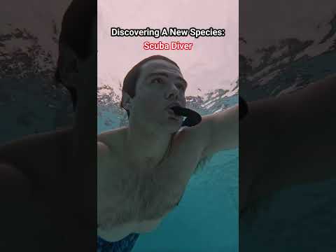 Every Horror Movie Watcher Knows This.