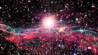 PBS SEEING IN THE DARK 2007