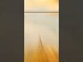 Karthikeya 2 Shorts Short Shortvideo Status
