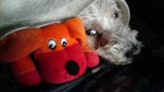 Sigur Rós-Straumnes