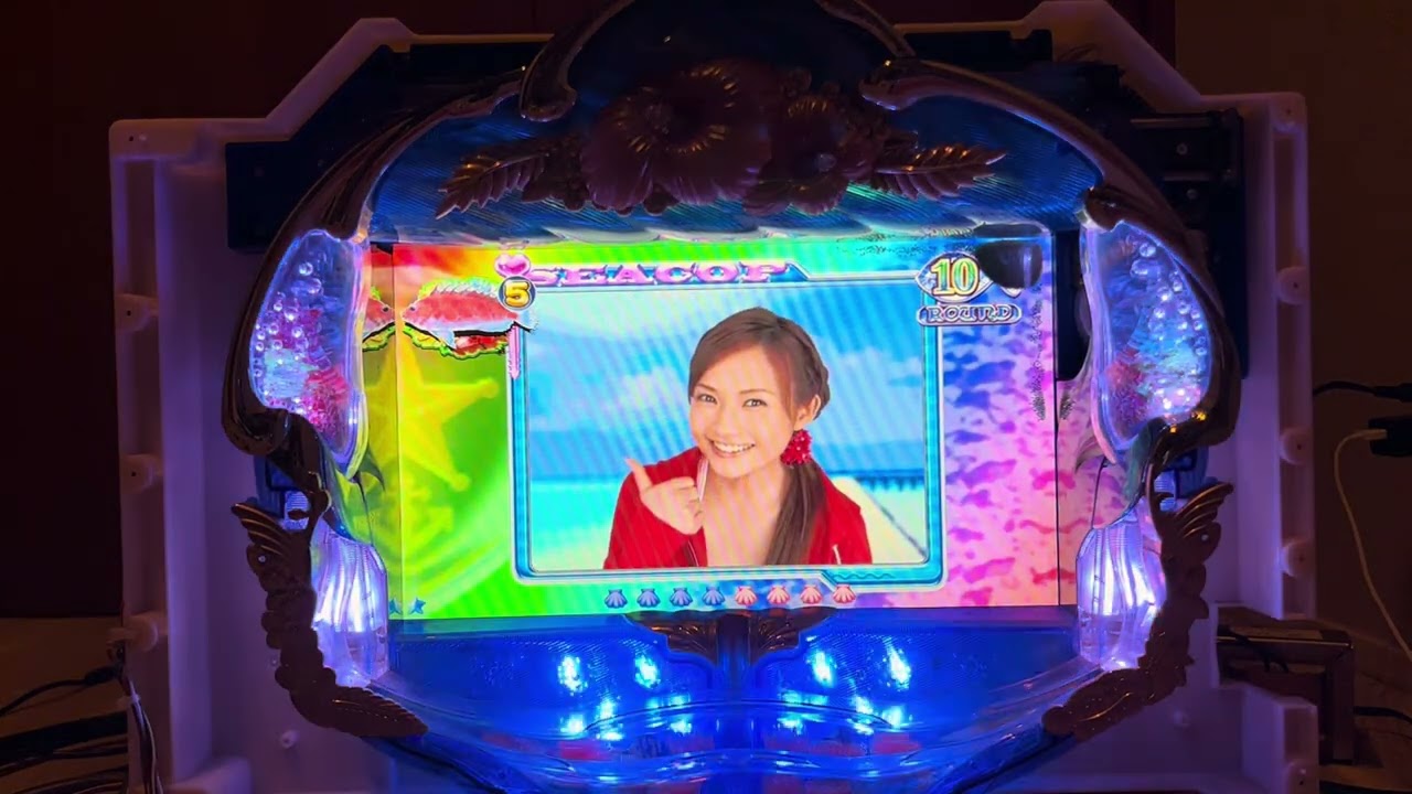 Youtube シーコップ