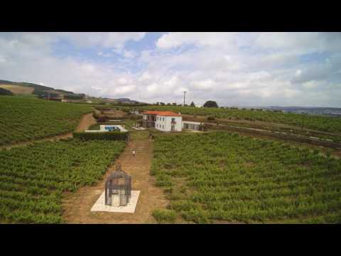 Portugal Douro River Country