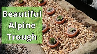 Beautiful Alpine Garden Trough with Sempervivum House Leeks