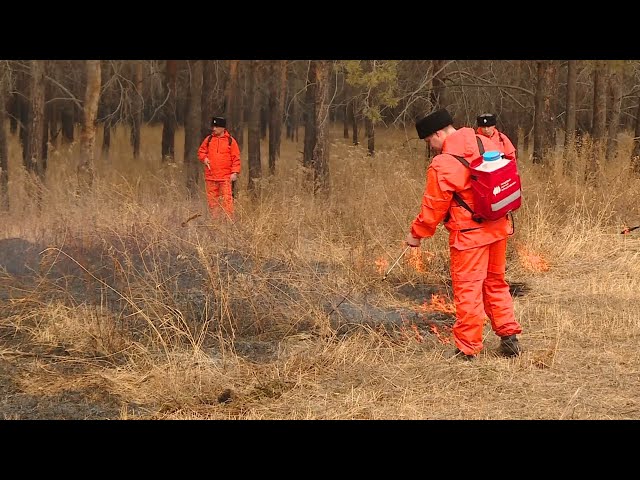 Отжиг начался!