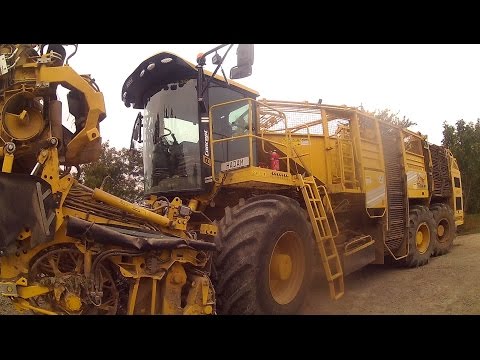 Kampania buraczana 2016