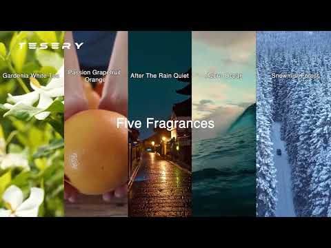 Tesla Interior Upgrade: The Cloud Mist Diffuser That Makes Your Tesla Feel Like a Spa ☁️