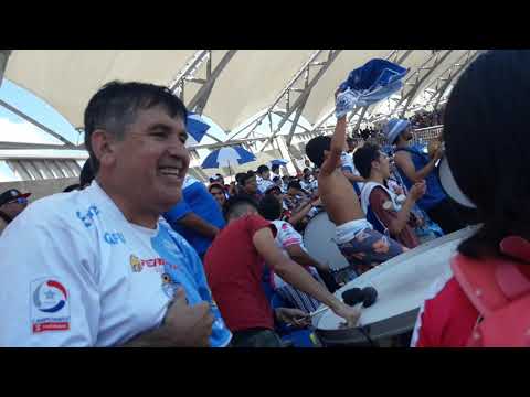 "Barra de deportes antofagasta vs u de chile primera division 2019" Barra: Los Pumas &bull; Club: Deportes Antofagasta