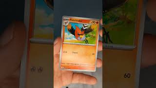 Abrindo um booster e contando a Pokedex ✨