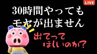 【あつ森】なかなかモヤってくれないハムカツ君🐷｜#animalcrossing