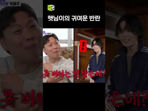 진돗개 애교 폭발 🐶 #아니근데진짜! #shorts