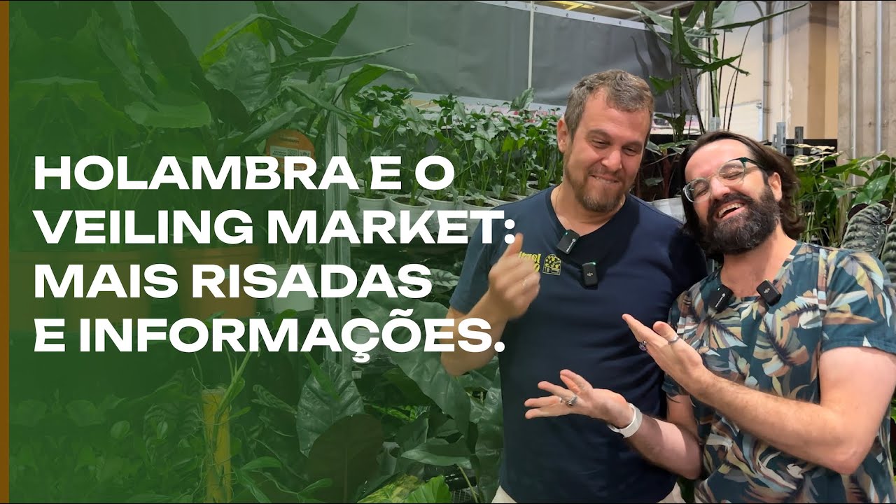 Veiling e Holambra: o mundo das plantas.