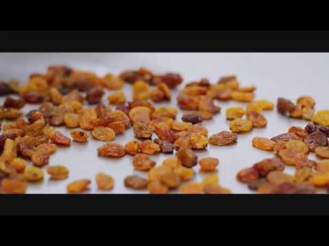 premium quality raisins 12.5kg - Turkey premium quality raisins 12.5kg - Turkey