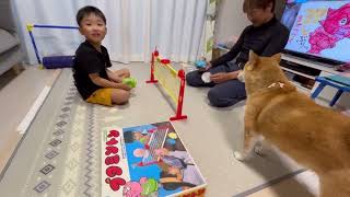 エモい昭和のおもちゃブタミントンで盛り上がる😄　　　　　初心者にはむずかしすぎて昔遊んでた持ち主のおかあちゃんはうますぎた😆