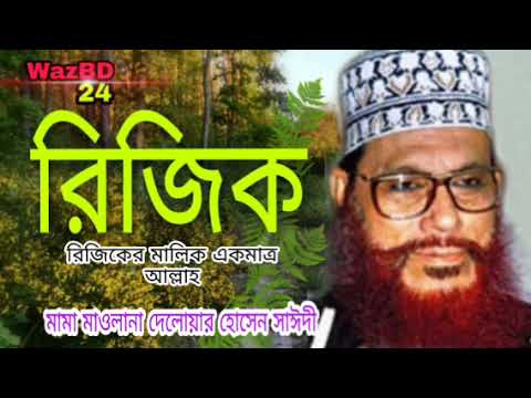 রিজিক। মাওলানা দেলোয়ার হোসেন সাঈদী
