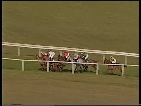 2010 Coral Future Champions Finale Juvenile Hurdle