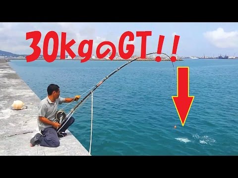 石垣島で30kgのGTとファイト！Fight with 30 kg of GT！ 重磯 (English sub)