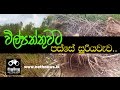 balumgala-03-01-2017
