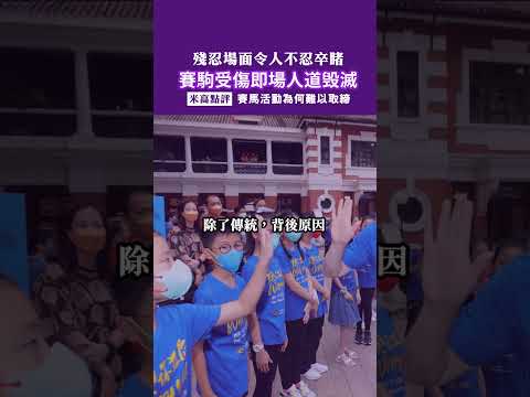 殘忍場面令人不忍卒睹，賽駒受傷即場人道毁滅｜賽馬活動為何難以取締｜粵語中字
