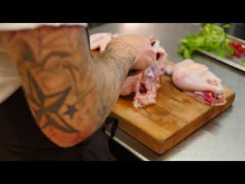 Skovkyllingen   René Mammen fra Substans