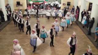 preview picture of video 'Velké Pavlovice - Krojovaný ples (4.1.2014)'