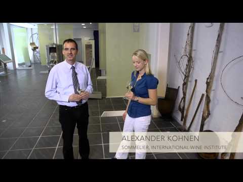 Faszination Wein - Saar