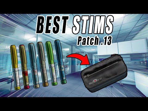 Tarkov STIMS to always keep in INJECTOR CASE