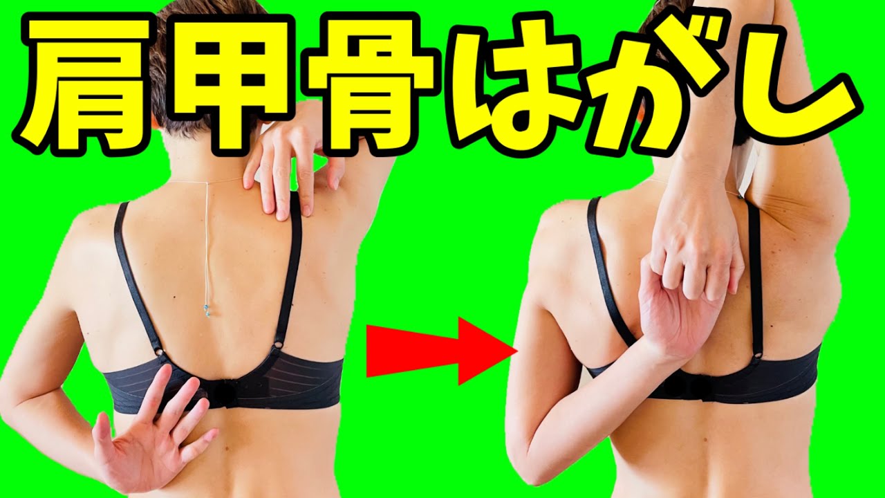 肩甲骨はがしで今すぐ痩せる‼️猫背肩こり解消✨