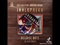 Big Zulu Ft Mduduzi Ncube Inhlupheko