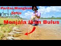 Cast Net Fishing Malaysia Pantai Mangkuk Setiu Laut Sungai Bersebelahan Je Sillagos Fish