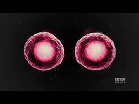 Orphan Black Season 3 (Teaser)