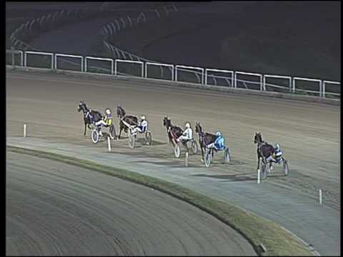 Trotto 02/07/2016 - 1° prova di qualifica