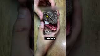 Video thumbnail image