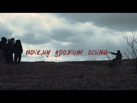 Video thumbnail for Почему дрожит осина (PDO)