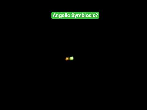 Stars that don't move to the naked eye like Polaris.