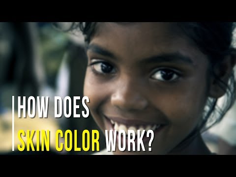 How Skin Color Works? ft Realistic Owl